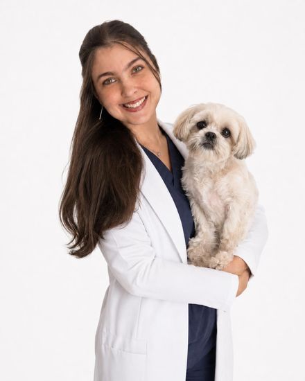 Dra. Cássia, clínica da Cavet, veterinário 24h na Tijuca