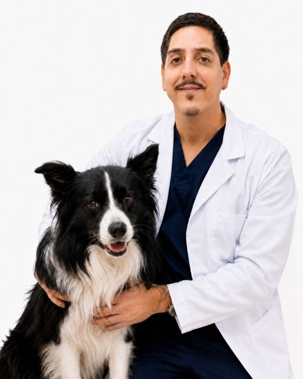 Dr. Douglas, clínico e anestesia da Cavet, veterinário 24h na Tijuca