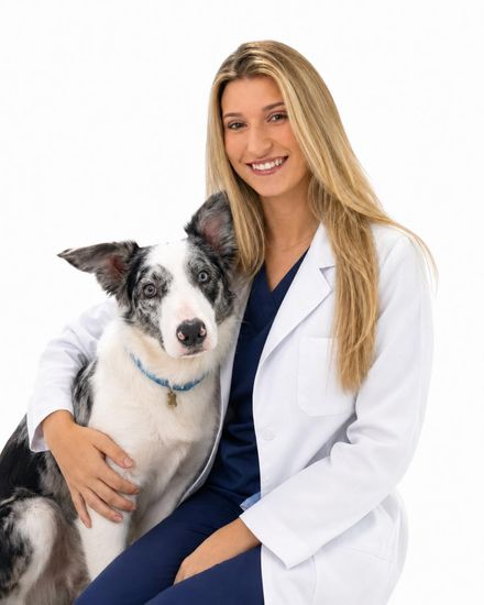 Dra. Juliana, internação da Cavet, veterinário 24h na Tijuca