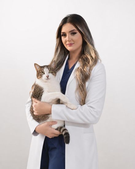 Dra. Rayssa, clínica da Cavet, veterinário 24h na Tijuca