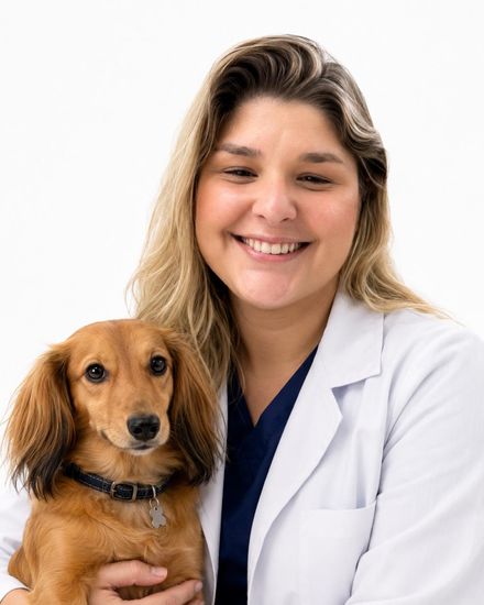 Dra. Valéria, anestesista da Cavet, veterinário 24h na Tijuca