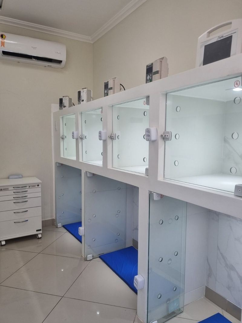 Internação 24h monitorada para cães e gatos no hospital veterinário Cavet, na Tijuca